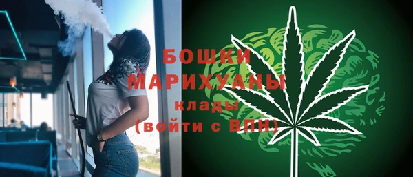 молекула духа Балахна